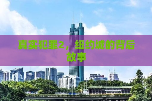 真实犯罪2，纽约城的背后故事